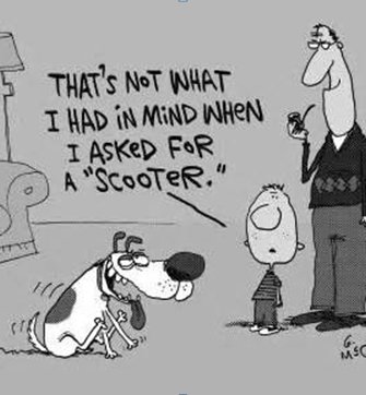 Scooter.jpg