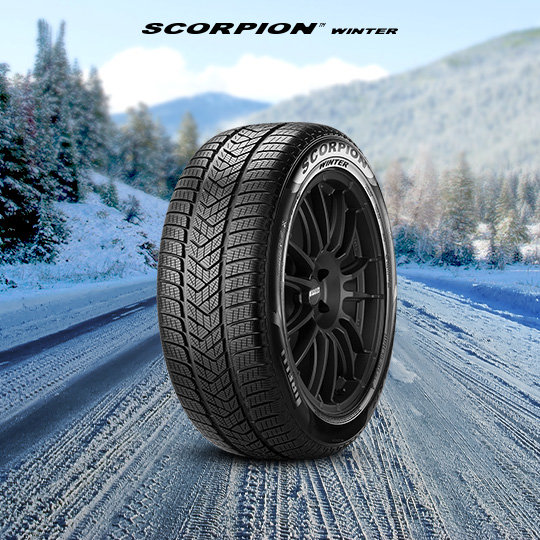 scorpion-winter-cat-sfondo-1505470067748.jpg