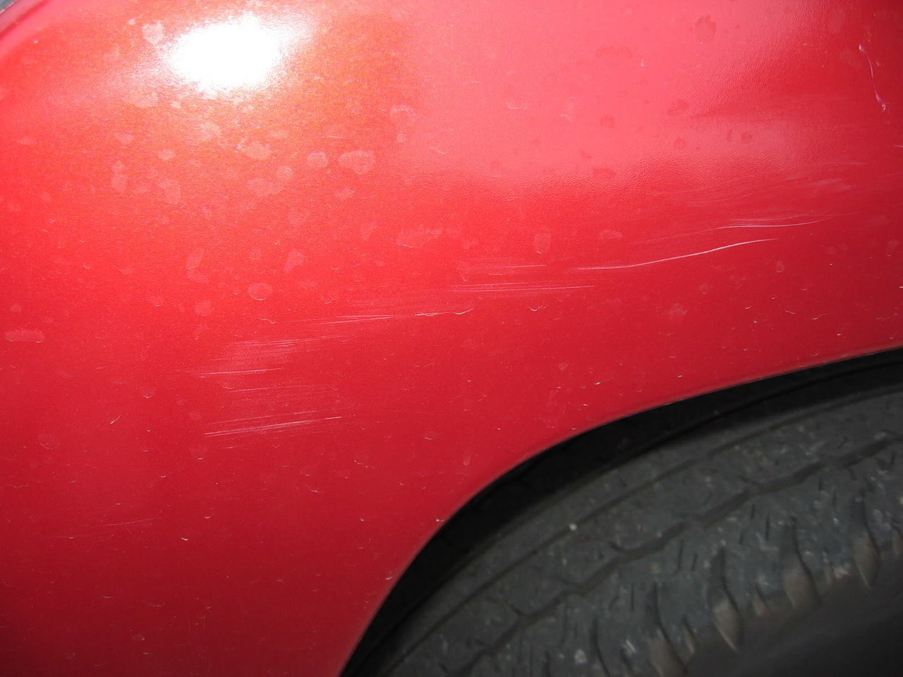 scrapes002_6debb8af3d42bf7b8bfca4f71c95f90271d9929d.jpg