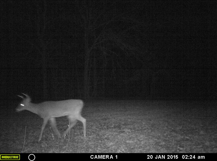 Screen%20Shot%202015-07-26%20at%209.40.1_2284c2d8fcbae269fa5ef1ddb3bc47bcd262f6d5.jpg