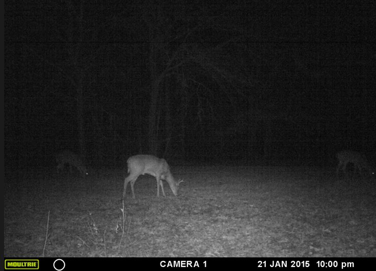 Screen%20Shot%202015-07-26%20at%209.40.3_229ac876f2c51665b6d888fbd6c3f0d0296d1843.jpg