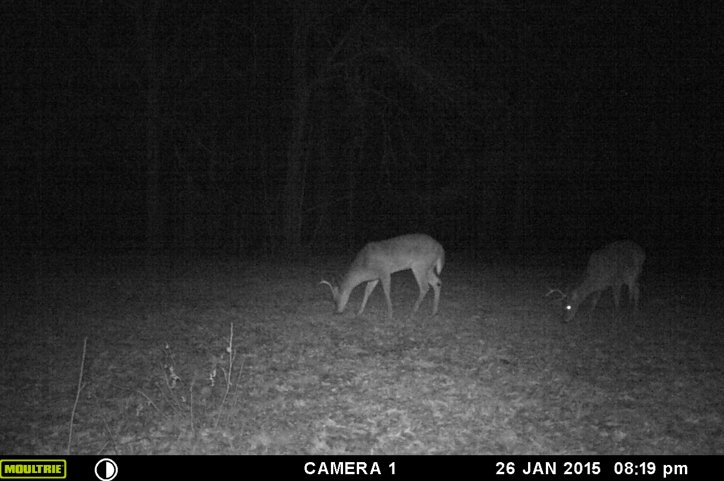 Screen%20Shot%202015-07-26%20at%209.40.4_1c3aeda773ff99a1c126eb5e91ef0c6dad9f535d.jpg