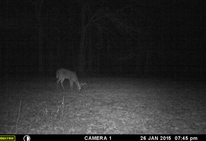 Screen%20Shot%202015-07-26%20at%209.40.4_bbe6d162e419aeb7dd4be6881f6e45d32fe18803.jpg