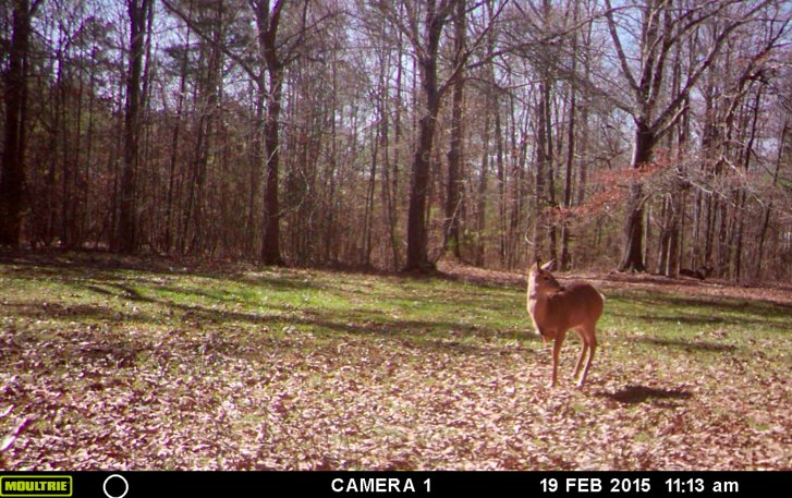Screen%20Shot%202015-07-26%20at%209.41.1_8b5244a32511bd3d9f1ed6d5b01ffa5b825c7146.jpg
