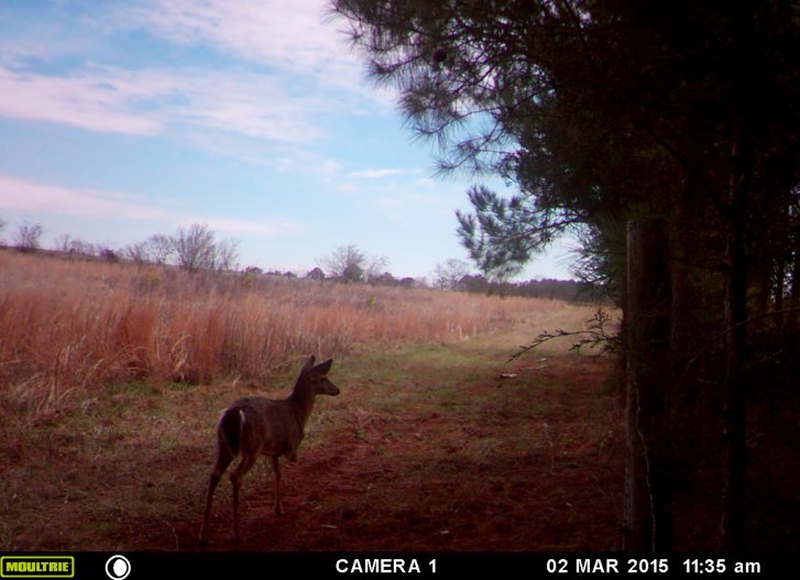 Screen%20Shot%202015-07-26%20at%209.41.2_076d7e0d39dae276f15901e41ce4c627f0d88e4f.jpg