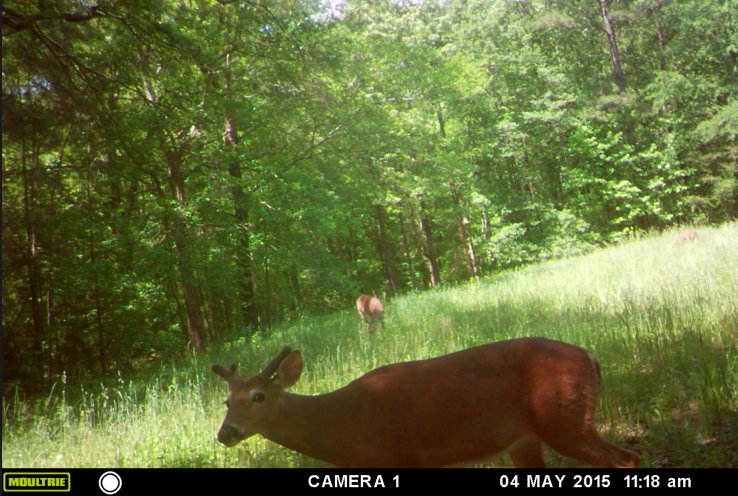 Screen%20Shot%202015-07-26%20at%209.41.4_d9e54c89fb3dbea8c7d44b2ac0e11c3a23c402ed.jpg