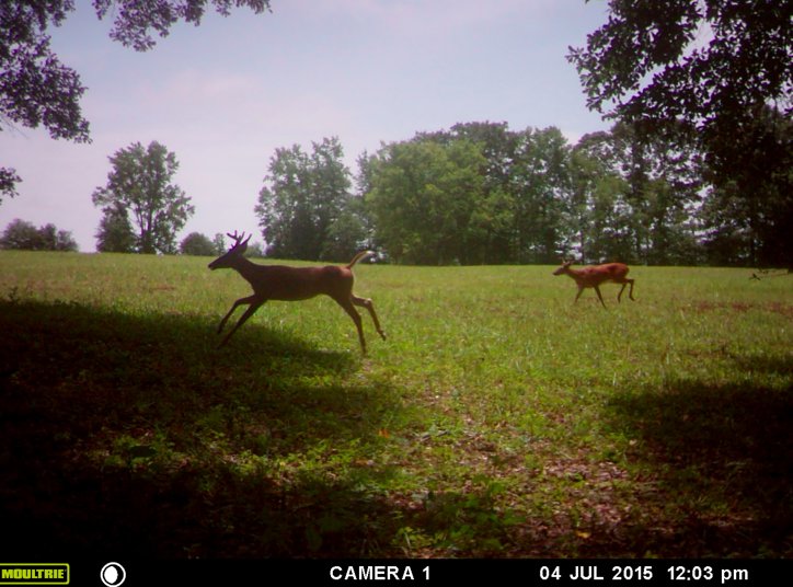 Screen%20Shot%202015-07-26%20at%209.42.0_2d904a89e9b454243ea1f9651c01f5ee5f960267.jpg