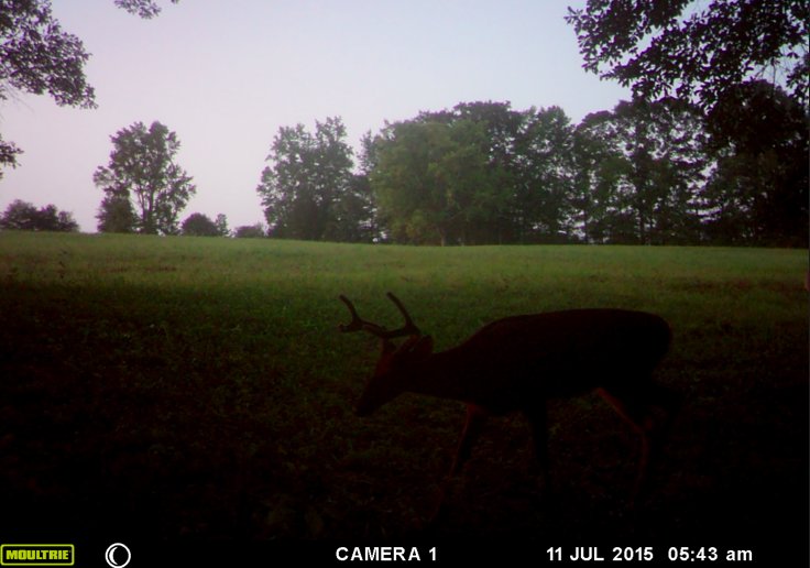Screen%20Shot%202015-07-26%20at%209.42.0_b206fa6f584e697848bc566e903a8633e301e588.jpg