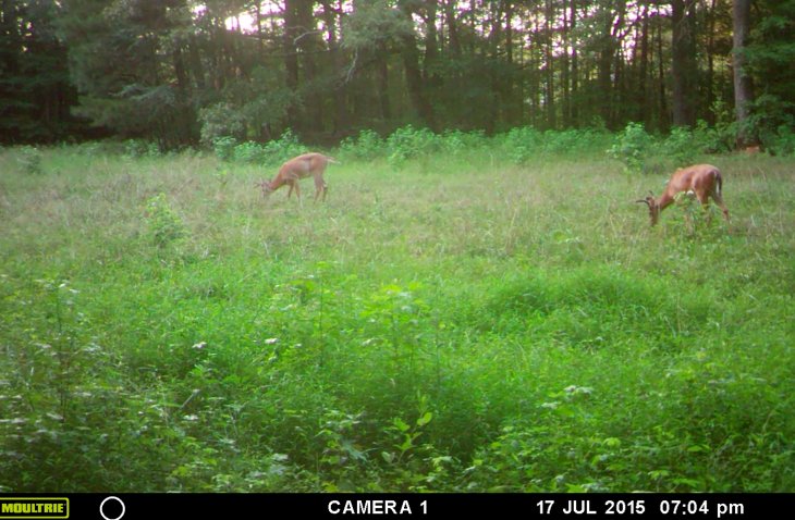 Screen%20Shot%202015-07-26%20at%209.42.2_920191ca2074eaa1e21c2f8f9ea5f88cedc1a3ba.jpg
