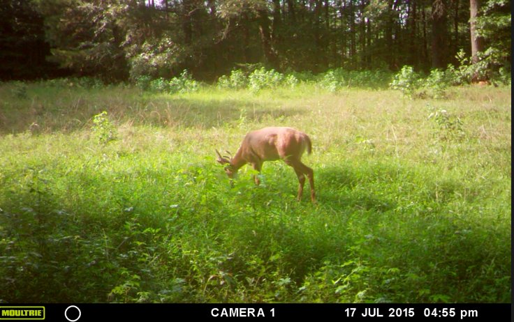 Screen%20Shot%202015-07-26%20at%209.42.2_d13eafcbd59951936c04122e556feccdbb29629d.jpg