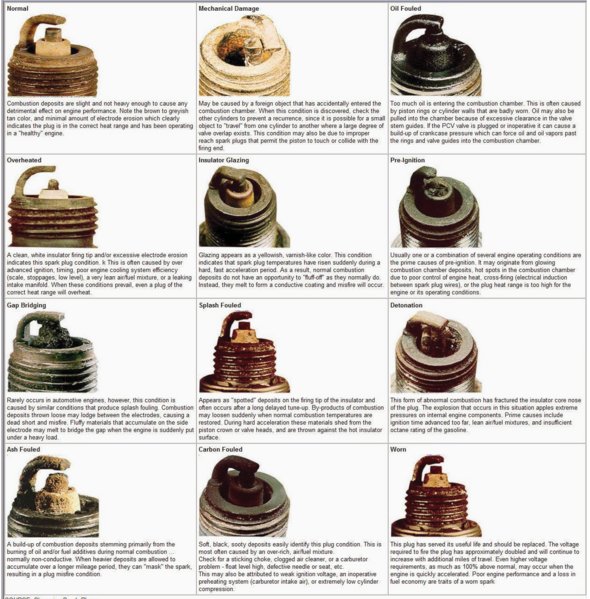Screen Shot 2016-10-13 at 4.05.15 PM.jpg