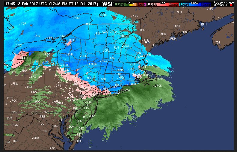 Screen Shot 2017-02-12 at 1.08.48 PM.jpg