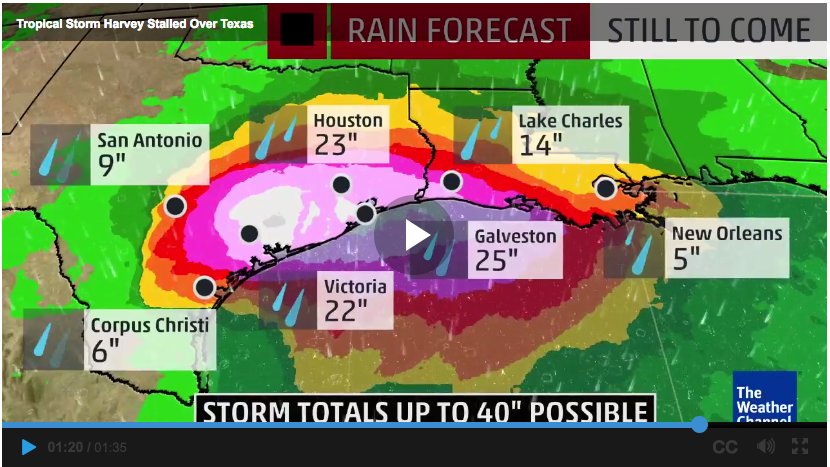 Screen Shot 2017-08-27 at 7.51.31 AM.jpg