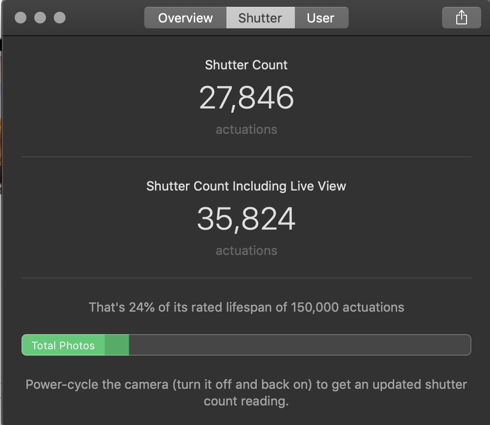 Screen Shot 2019-05-28 at 4.29.22 PM.jpg