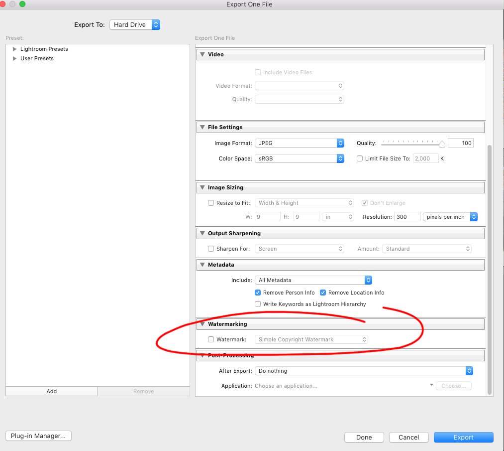 Screen Shot 2021-02-12 at 1.56.10 PM.jpg