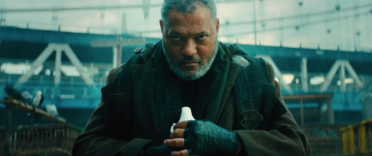 Screen_Shot_2019_01_17_at_12.42.57_PM.jpg