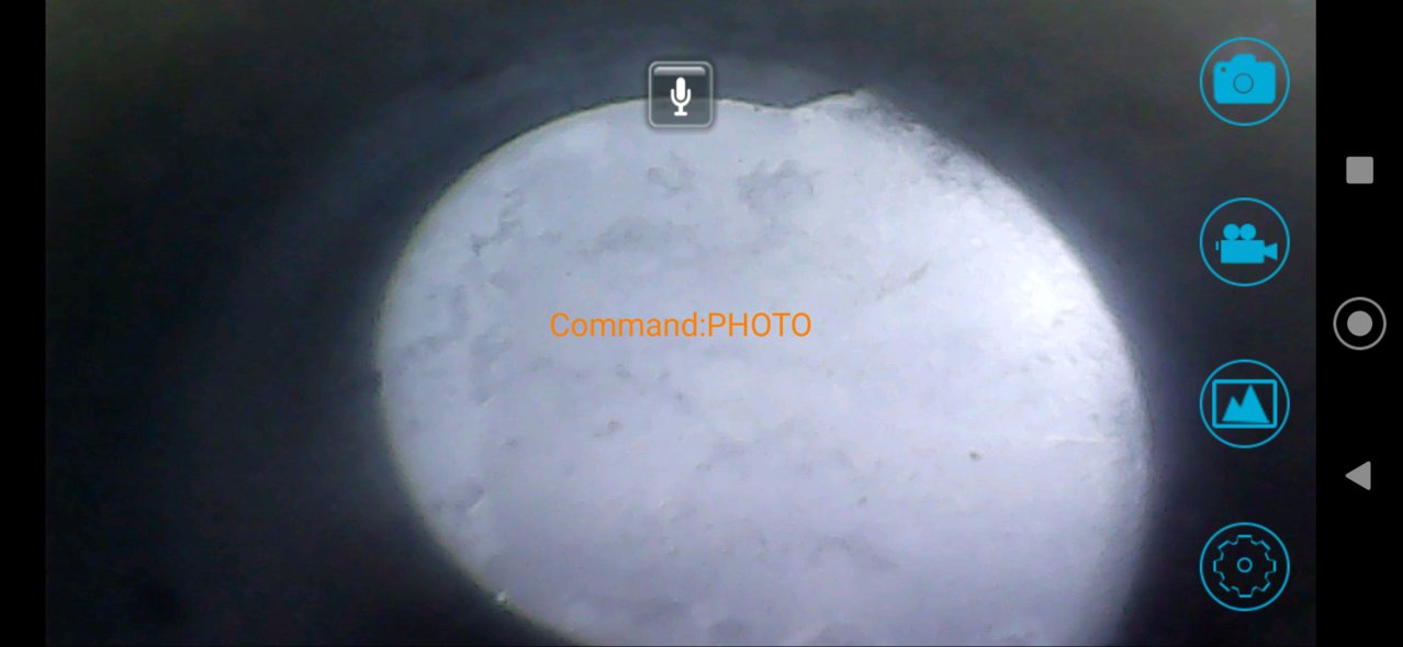 Screenshot9520210417-150420.jpg