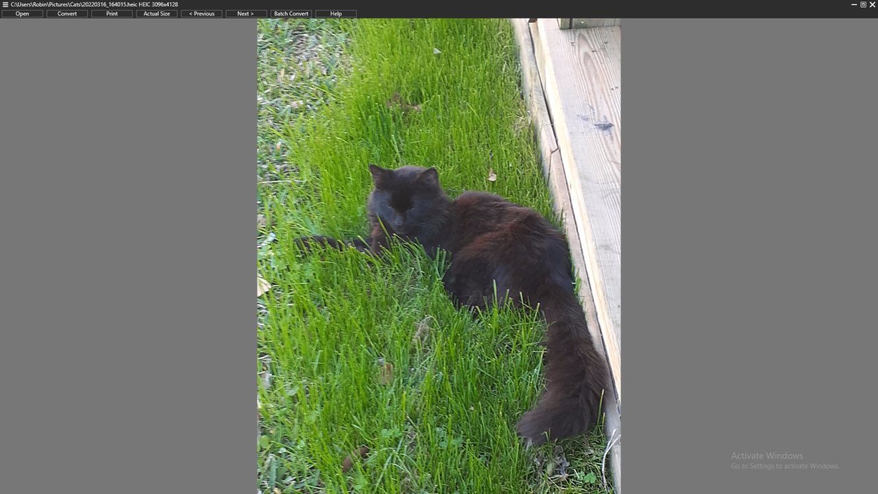 Screenshot_(104)_87b6535dd0edb68a7663e5328250ece1a79b3ac0.jpg