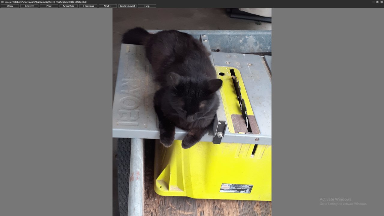 Screenshot_(156)_6cc2a672b9fe121ddabc838b1f6ae15f925269e6.jpg