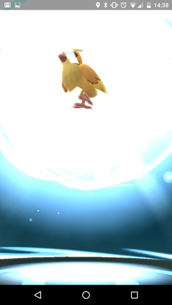 Screenshot_20160802-143854.jpg
