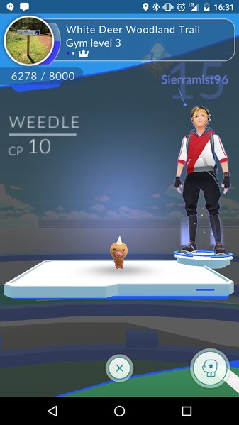 Screenshot_20160804-163147.jpg