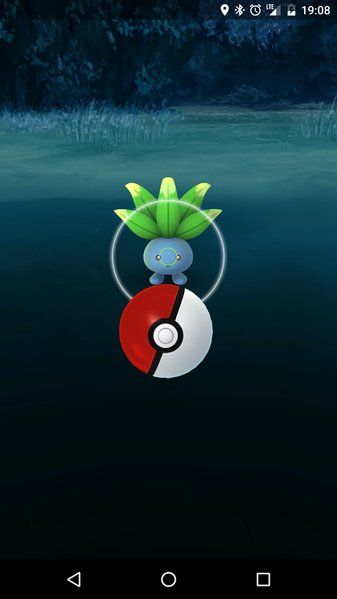 Screenshot_20160804-190828.jpg