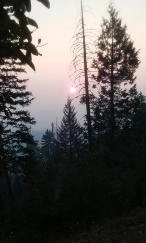 Screenshot_2017-08-19-13-46-42.jpg