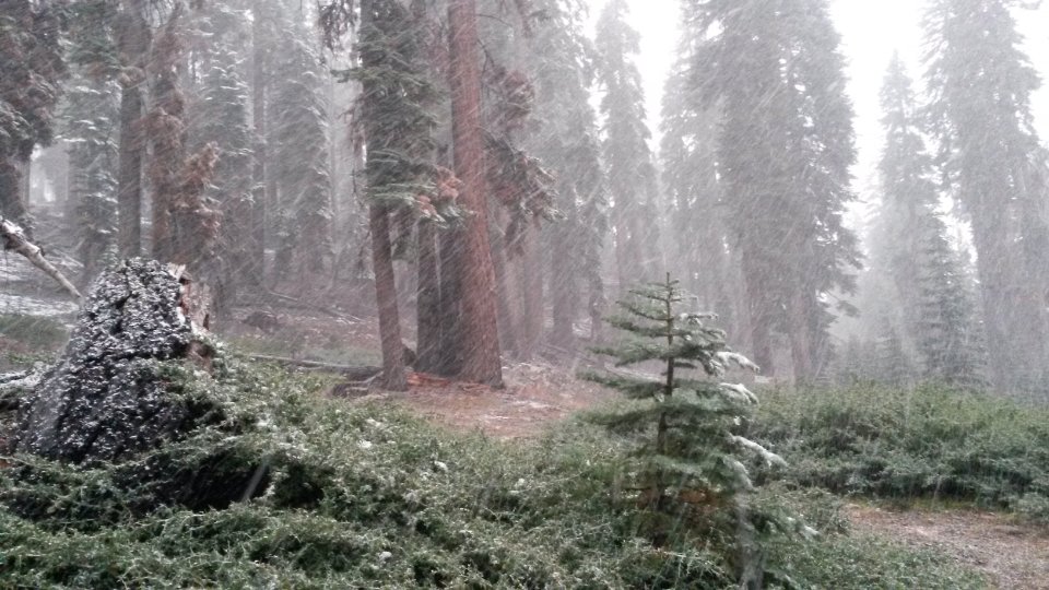 Screenshot_2017-09-22-19-09-58.jpg