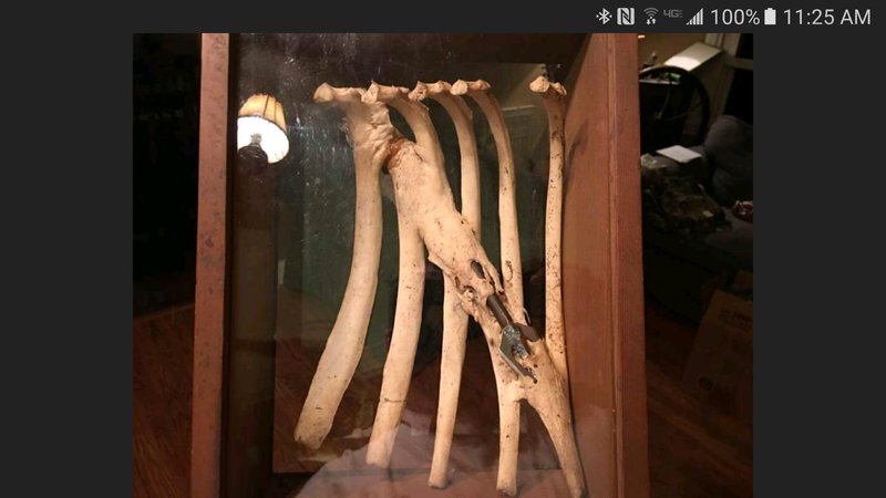 Screenshot_20170221-112515.jpg