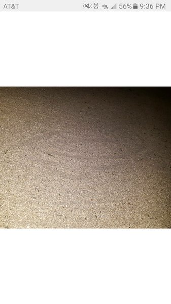 Screenshot_20170506-213636.jpg