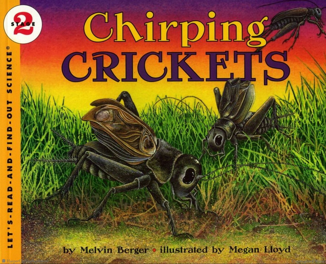 Crickets Chirping. Chirping. CHIRP. Lets read 10.