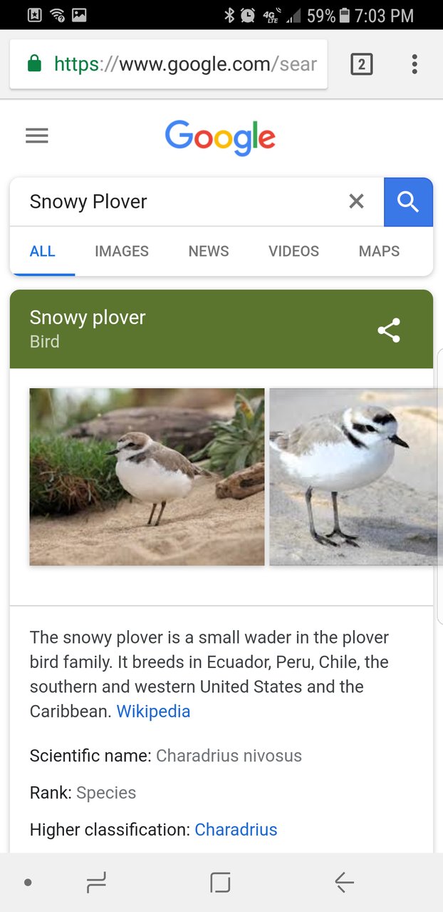 Screenshot_20180319-190344.jpg