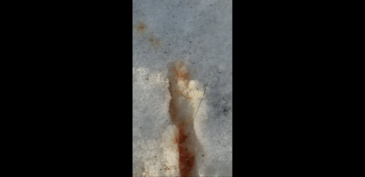 Screenshot_20180412-090737.jpg