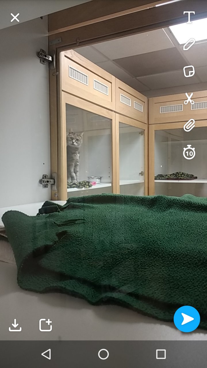 Screenshot_20180425-165520.jpg