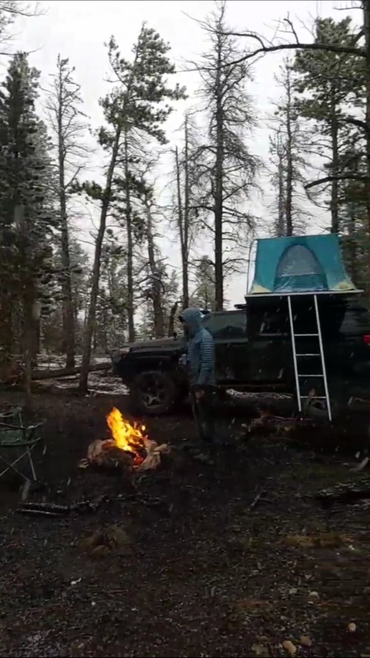 Screenshot_20180503-190321.jpg