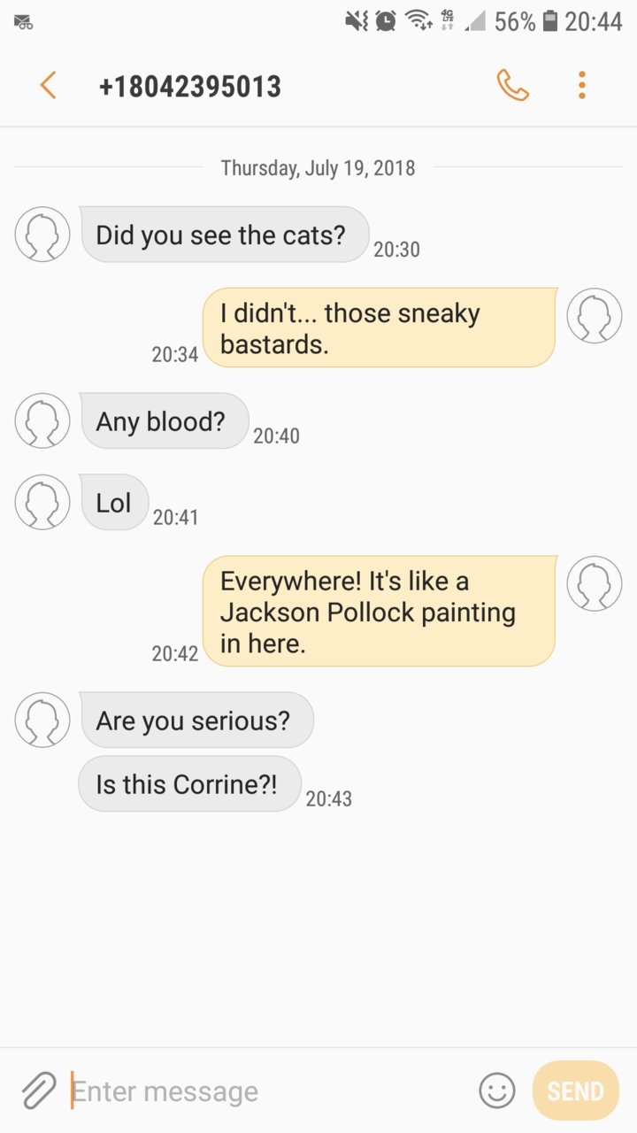 Screenshot_20180719-204445_Messages.jpg
