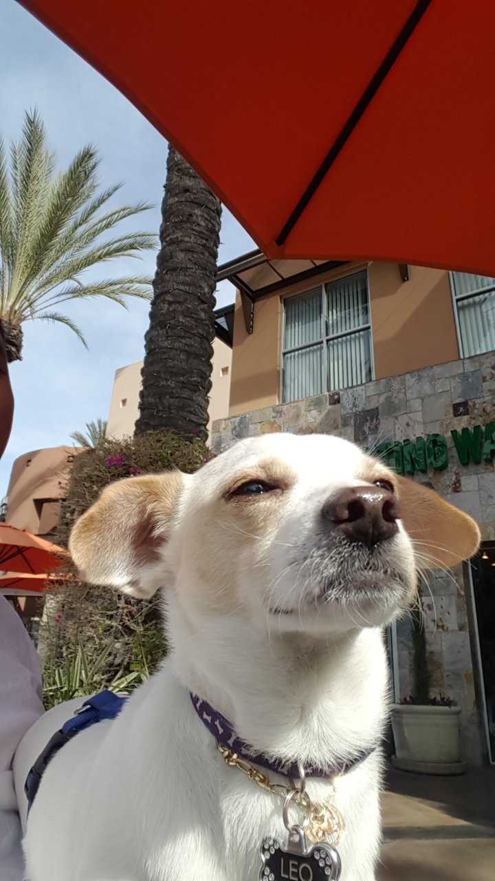 Screenshot_20180731-164906.jpg