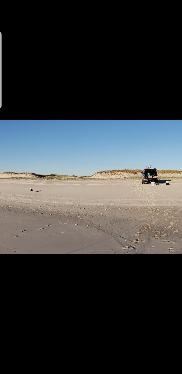 Screenshot_20181019-140627_Gallery.jpg