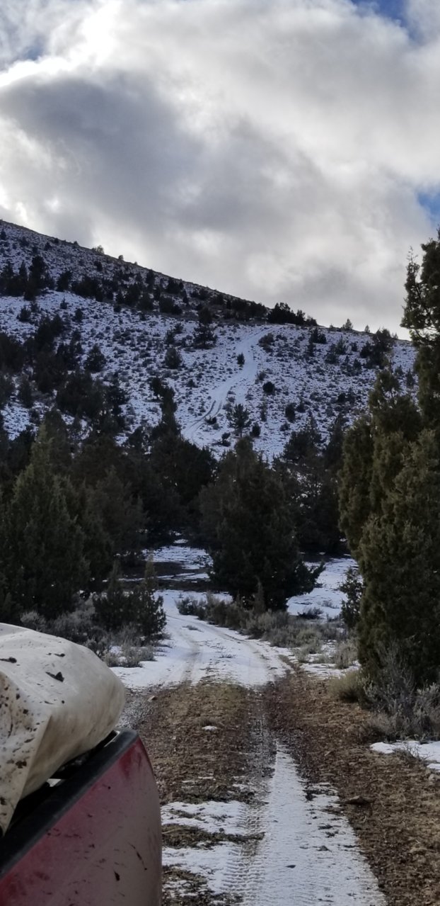 Screenshot_20181230-161632_Gallery.jpg