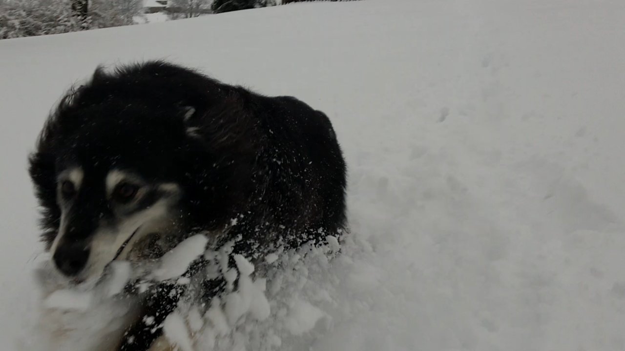 Screenshot_20190112-235155.jpg