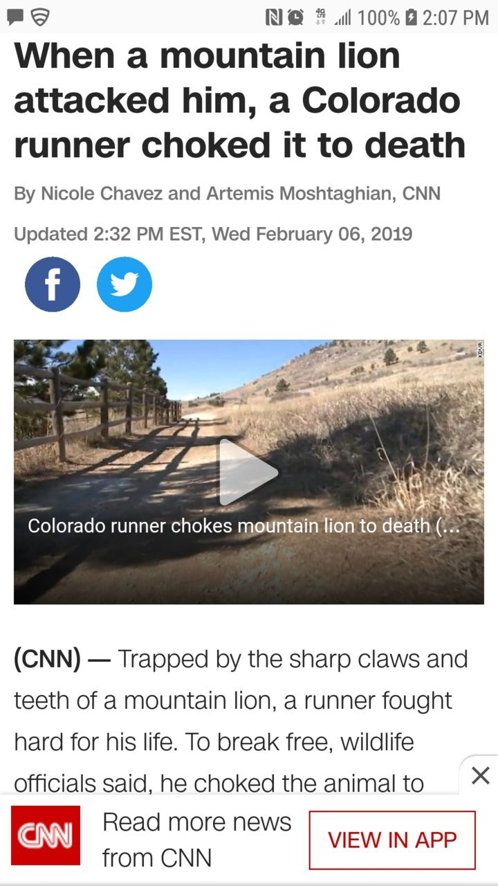 Screenshot_20190206-140704_Chrome.jpg