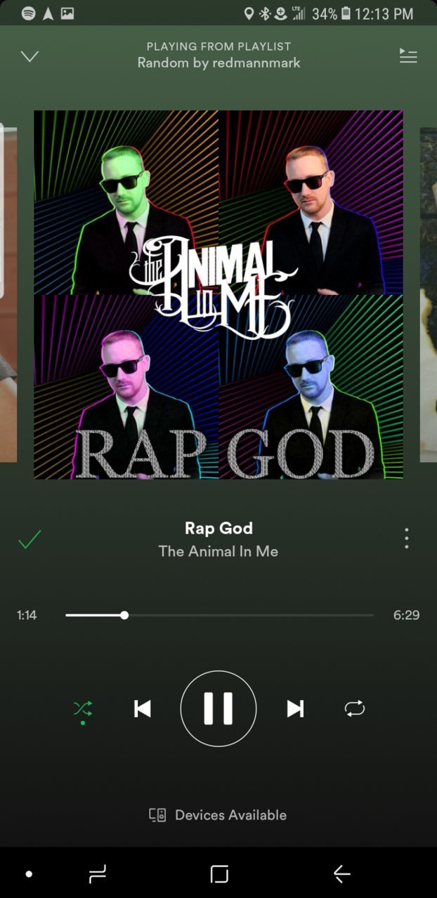 Screenshot_20190313-121305_Spotify.jpg