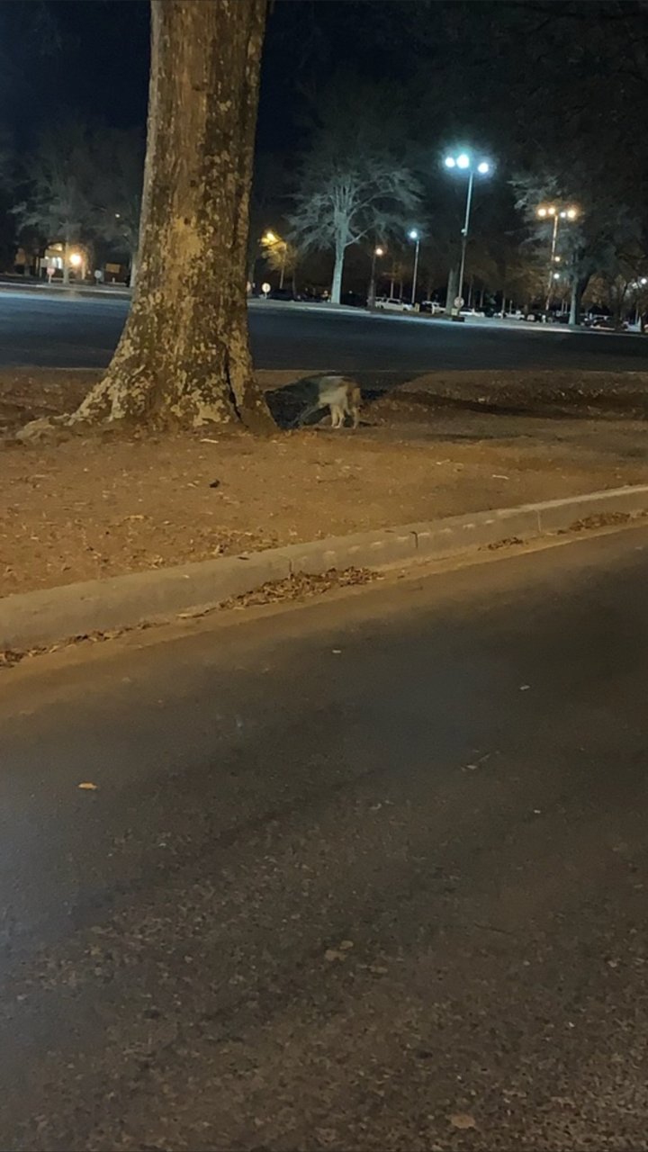 Screenshot_20190322-213903.jpg