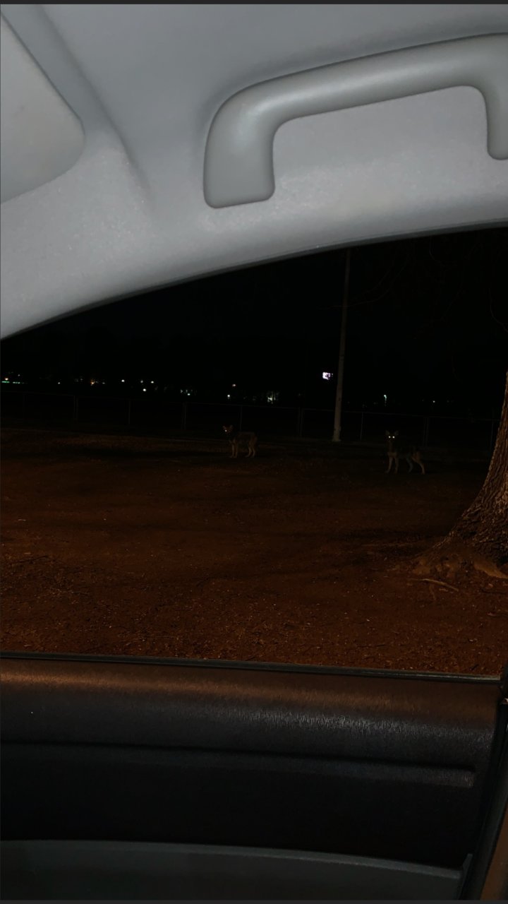 Screenshot_20190322-213951.jpg