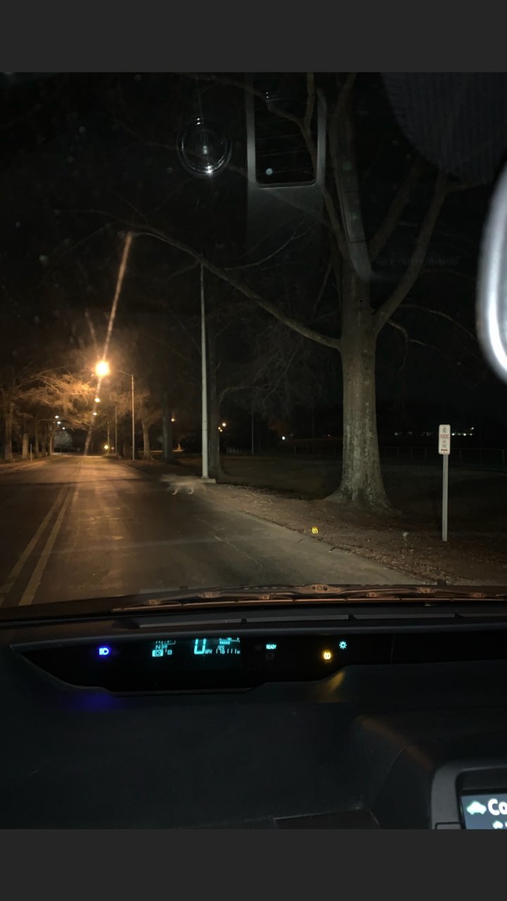 Screenshot_20190322-214006.jpg