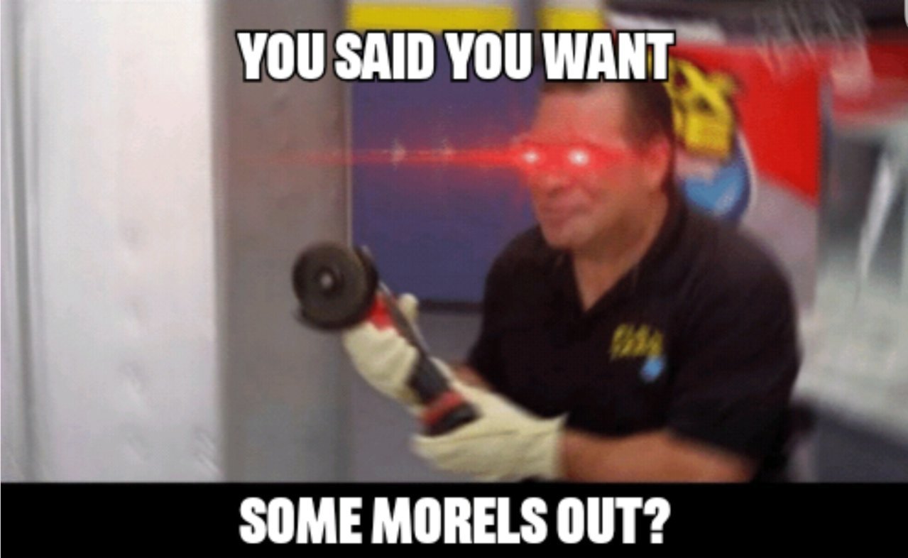 Screenshot_20190417-234616_Meme Generator.jpg