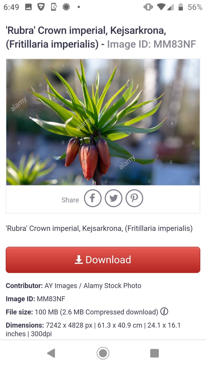 Screenshot_20190501-184951.jpg