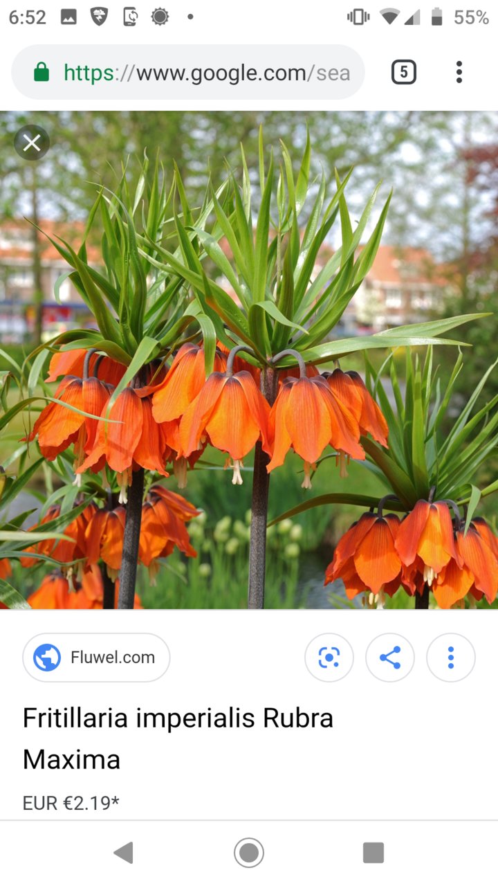Screenshot_20190501-185253.jpg