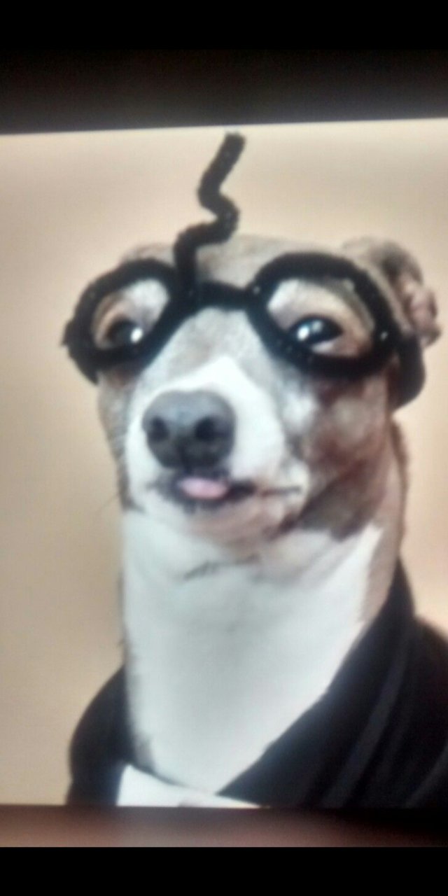 Screenshot_20190507-180228.jpg