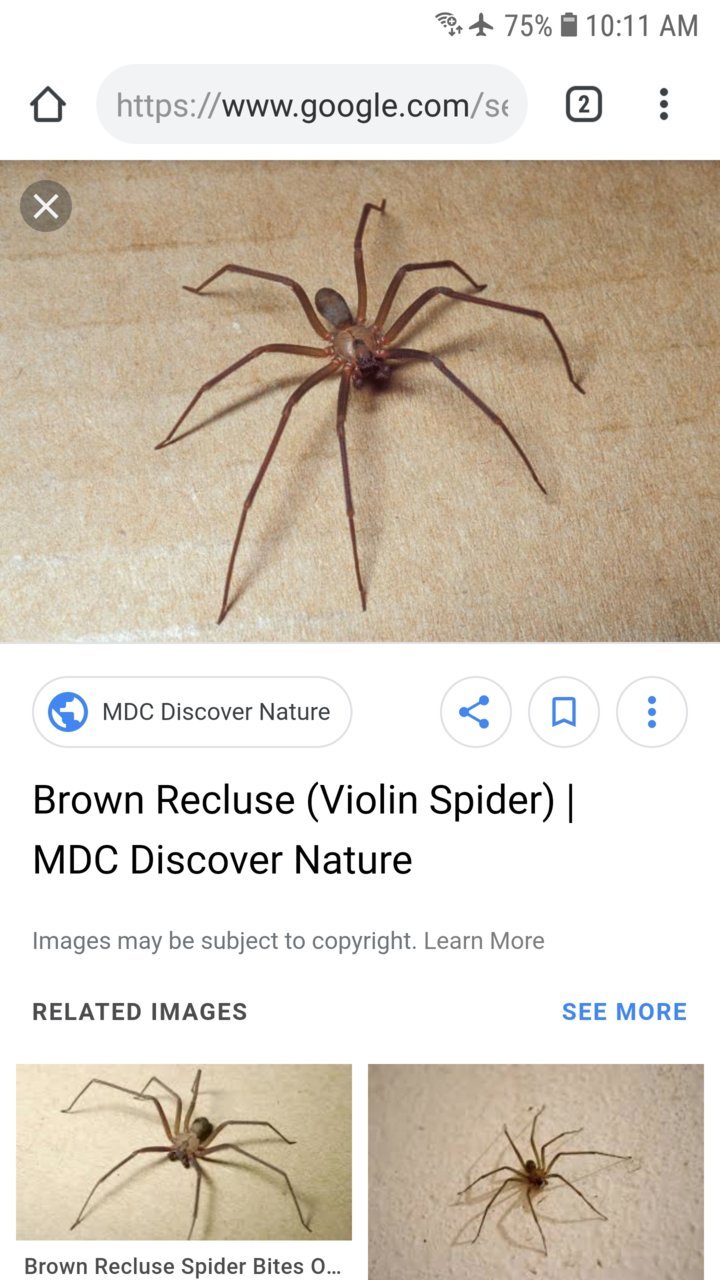 Screenshot_20190515-101142_Chrome.jpg